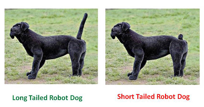 small dogs with long tails