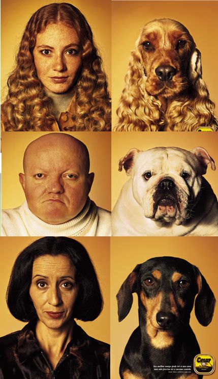 Do Dogs Look Like Their Owners? | Psychology Today