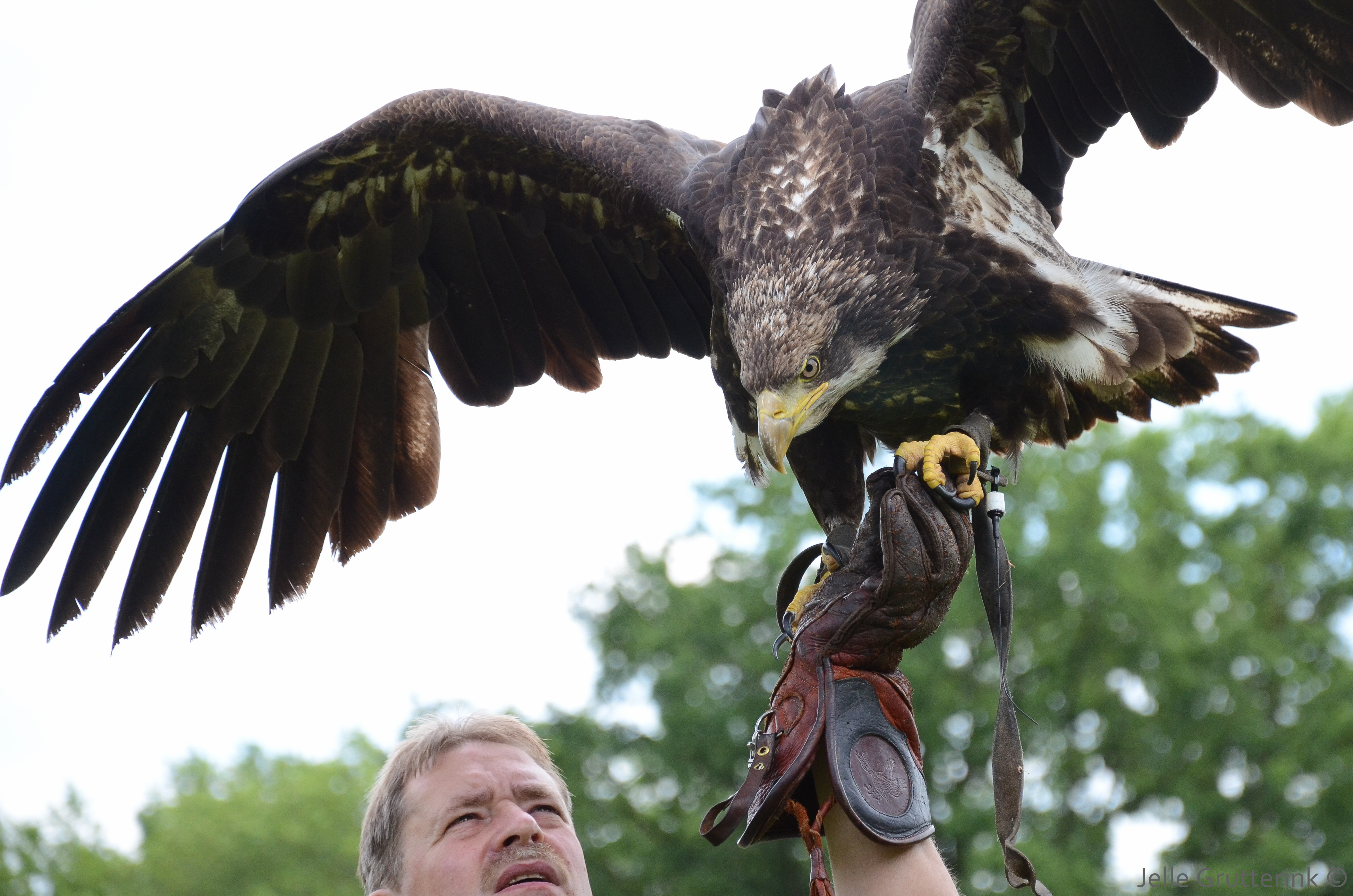 Is A Bird In The Hand Worth Two In The Bush Psychology Today