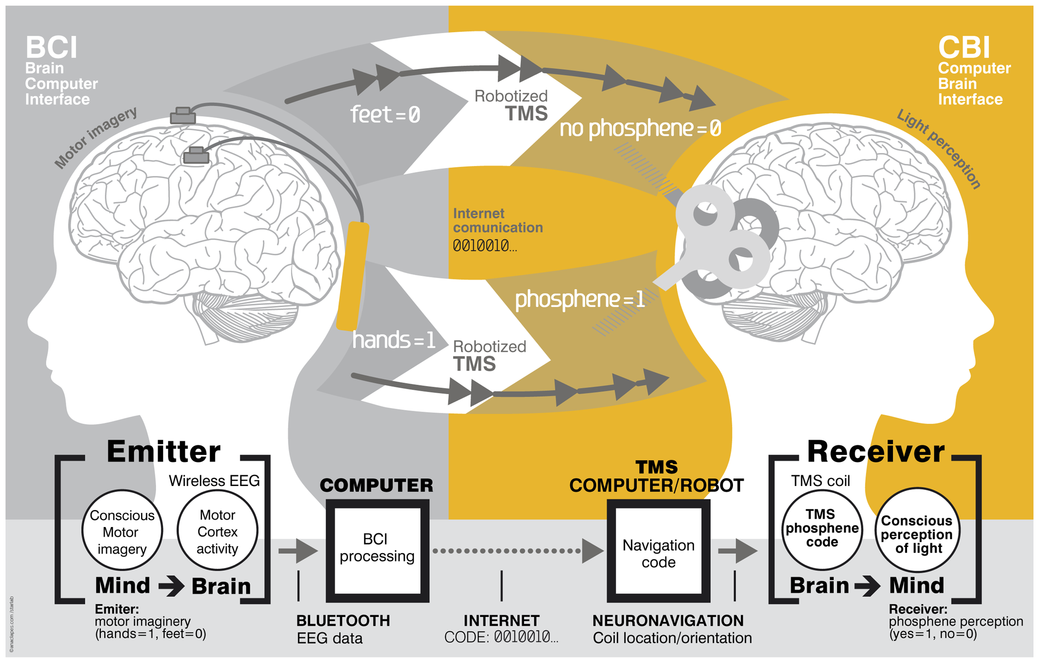 Mental Telepathy Is Real Psychology Today - 