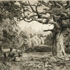 wikimedia commons