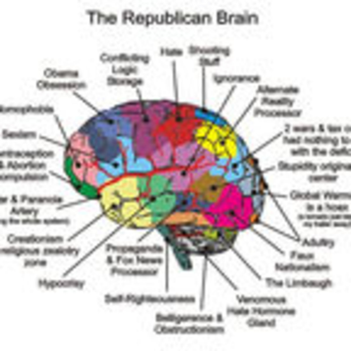 Intelligence And Politics Have A Complex Relationship Psychology