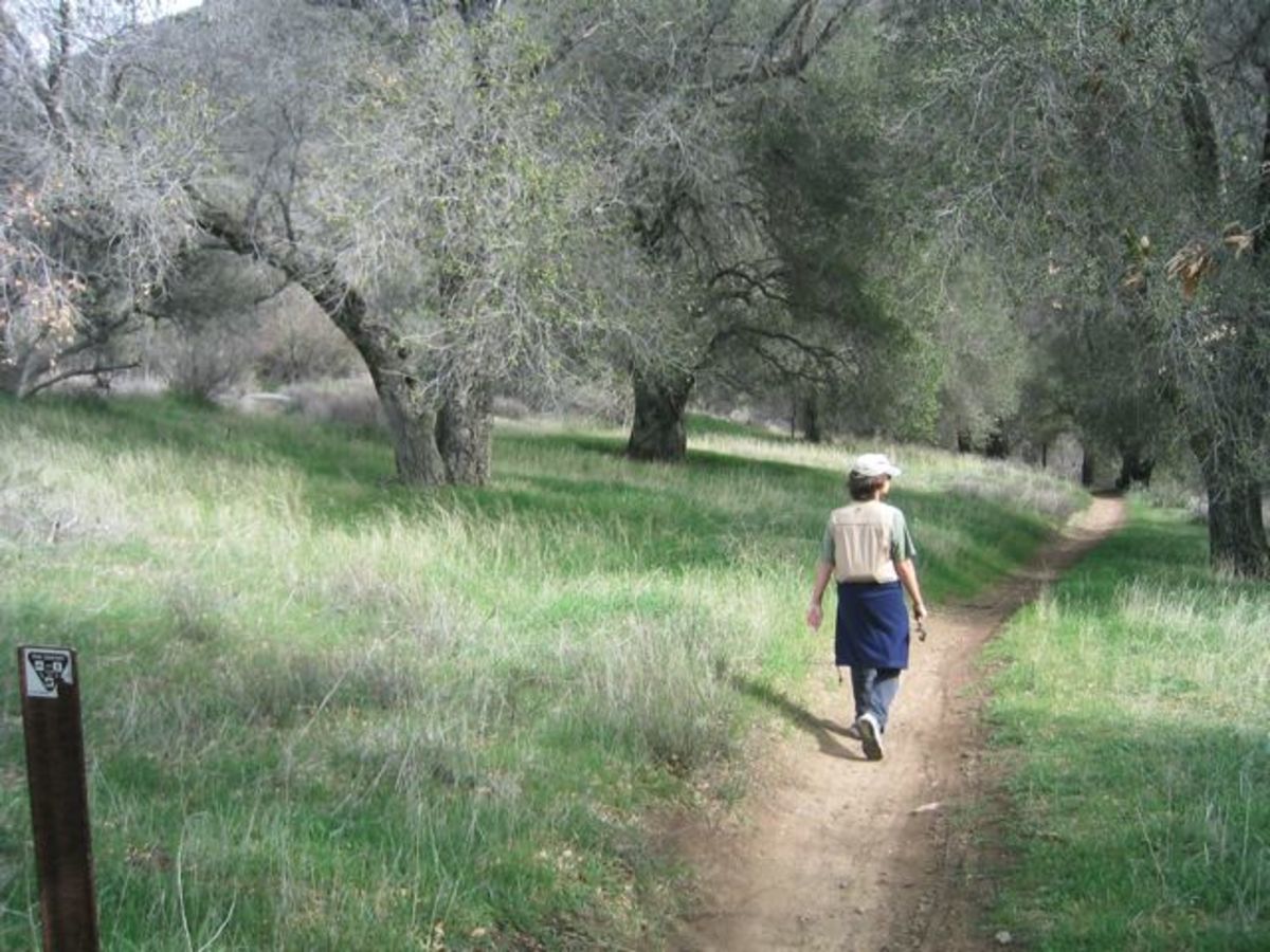 How To Protect Kids From Nature Deficit >> No More Nature Deficit Disorder Psychology Today How To Protect Kids From Nature Deficit >> No More Nature Deficit Disorder Psychology Today