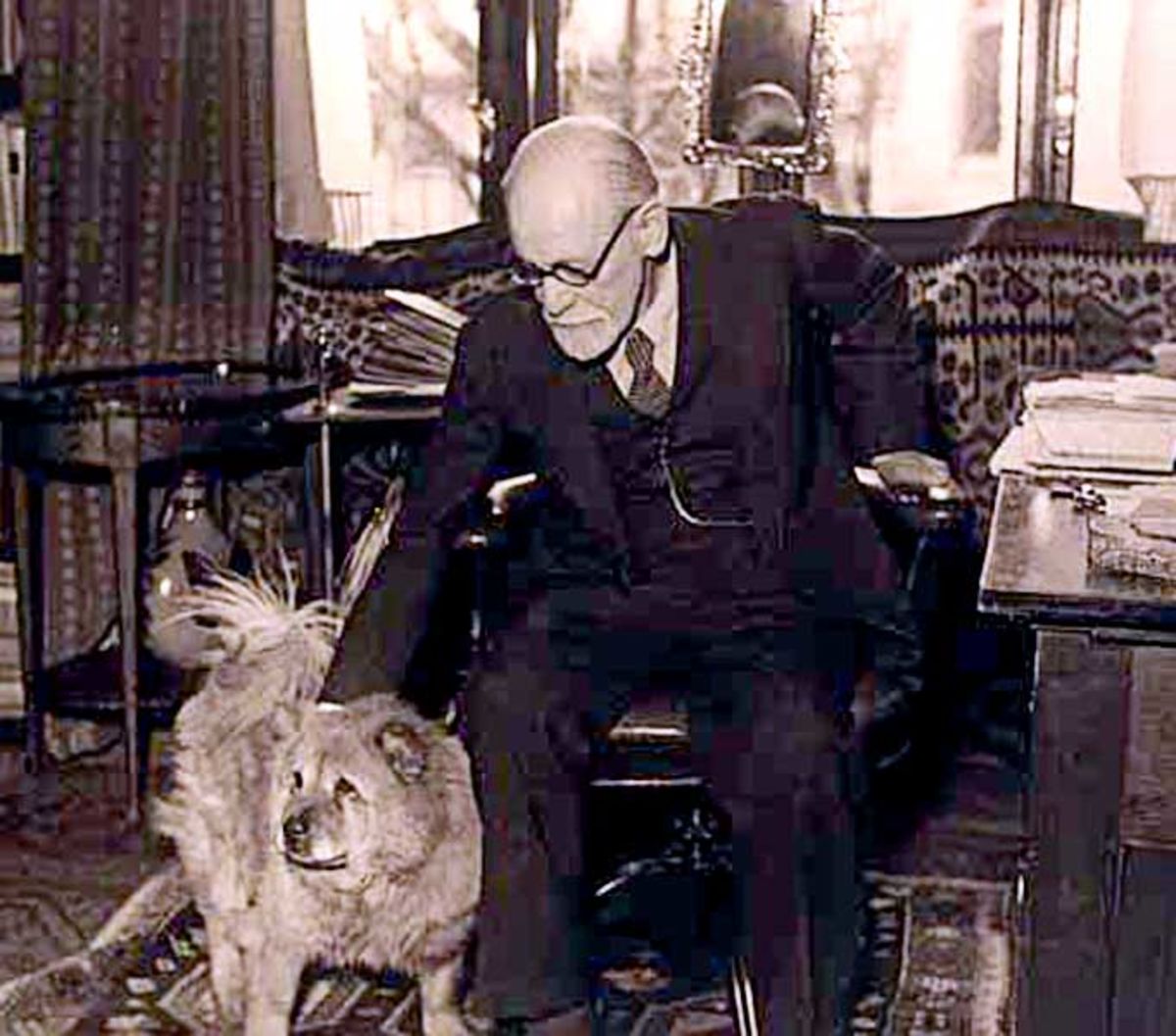 don machete cane corso