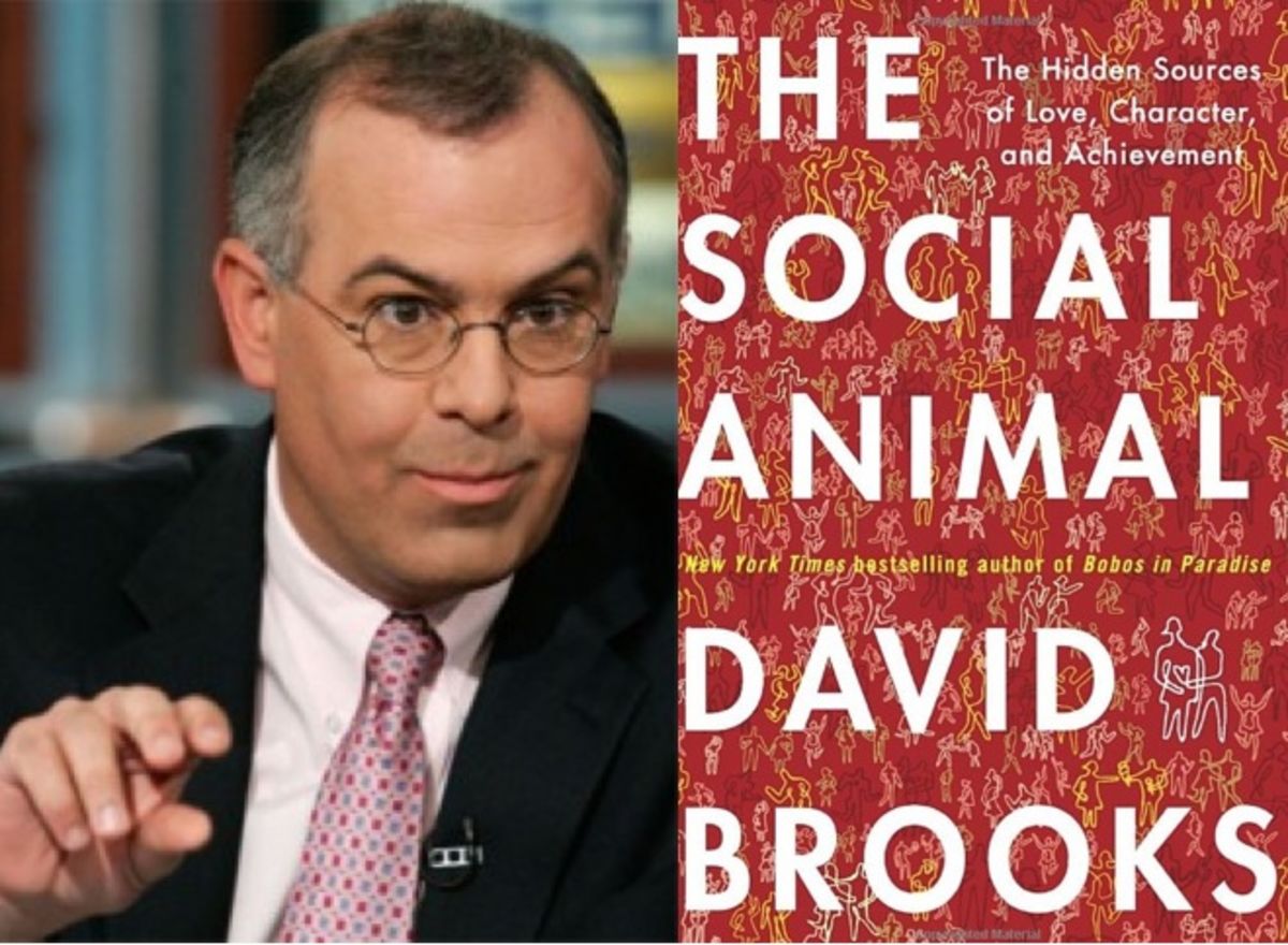 Thinking And Talking Where S The Human In David Brooks Social