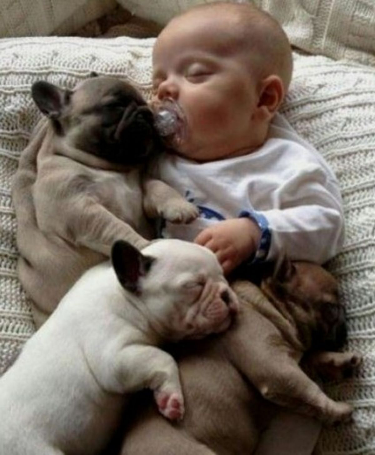 dogs are like children