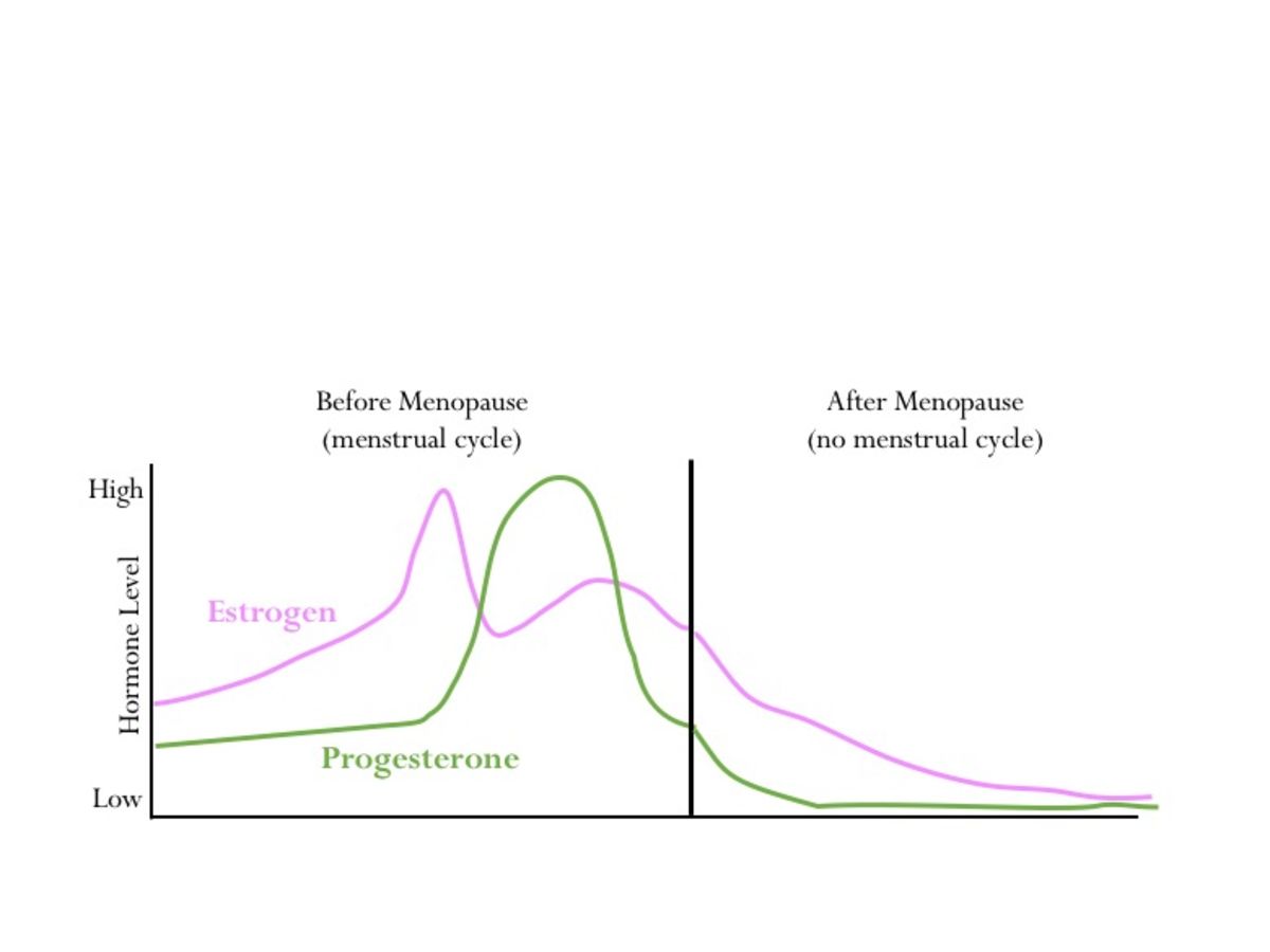 Estrogen And Progesterone Levels In Pregnancy Chart