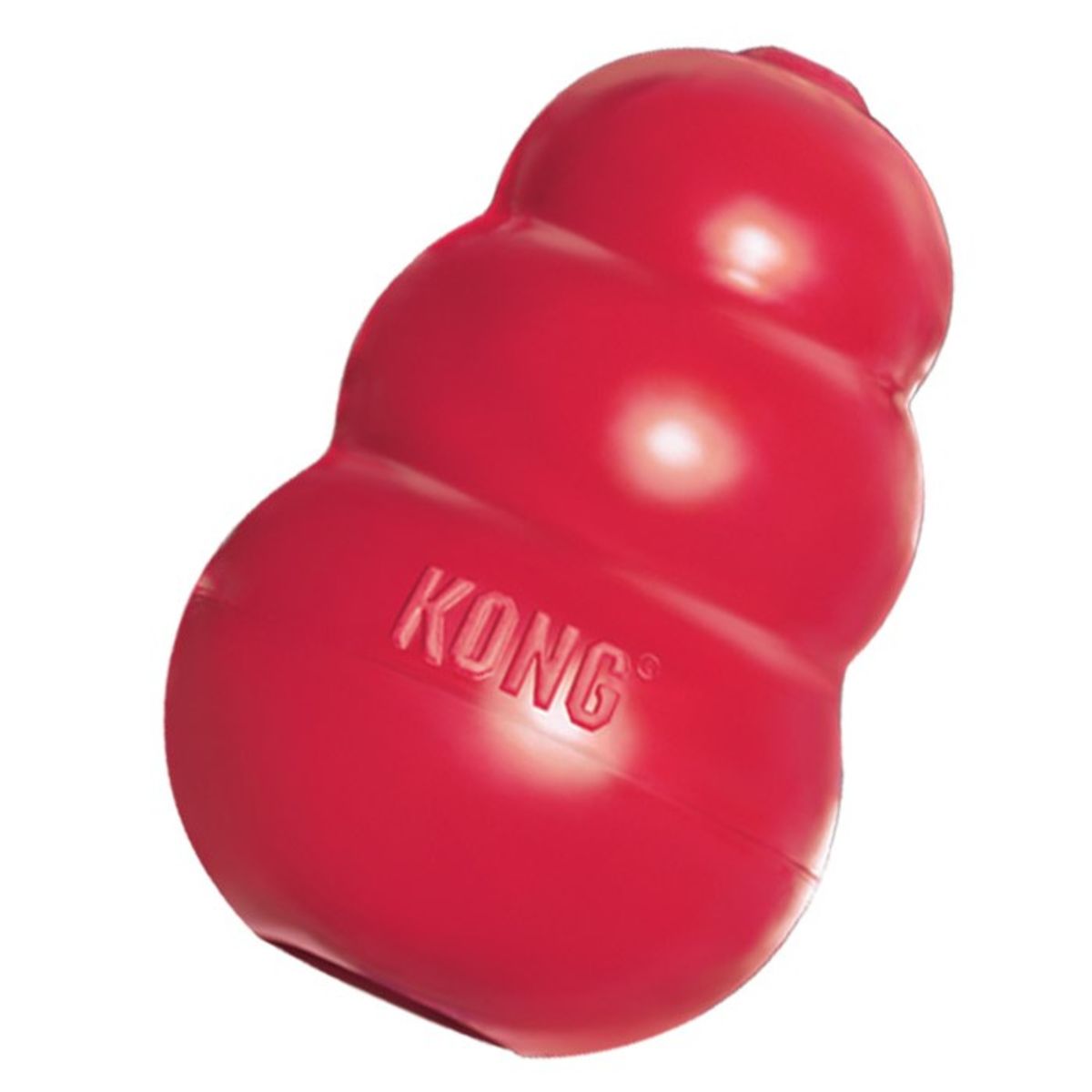 Food Toys And Dispensers For Dogs And Cats Psychology Today