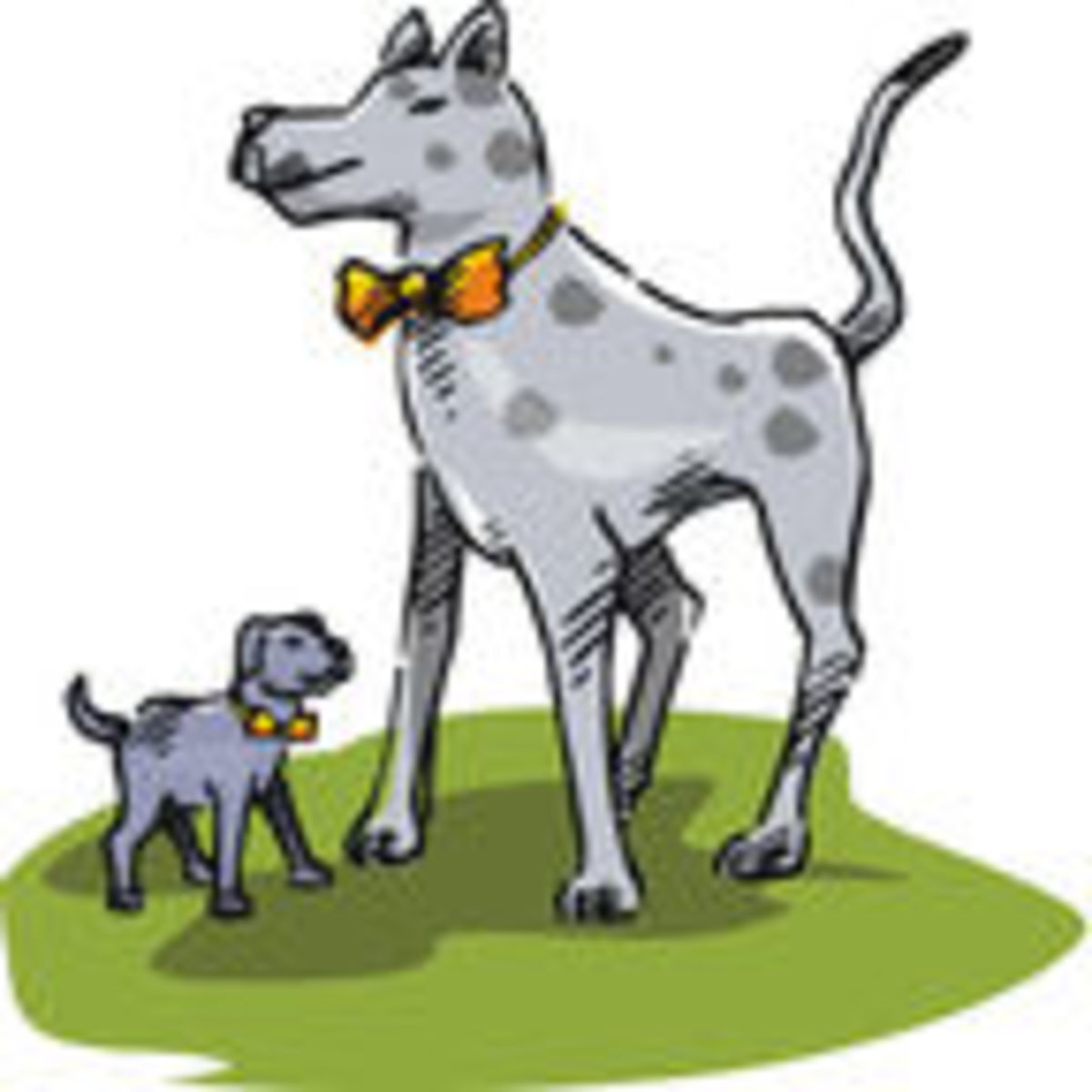 how to get my dog into modeling