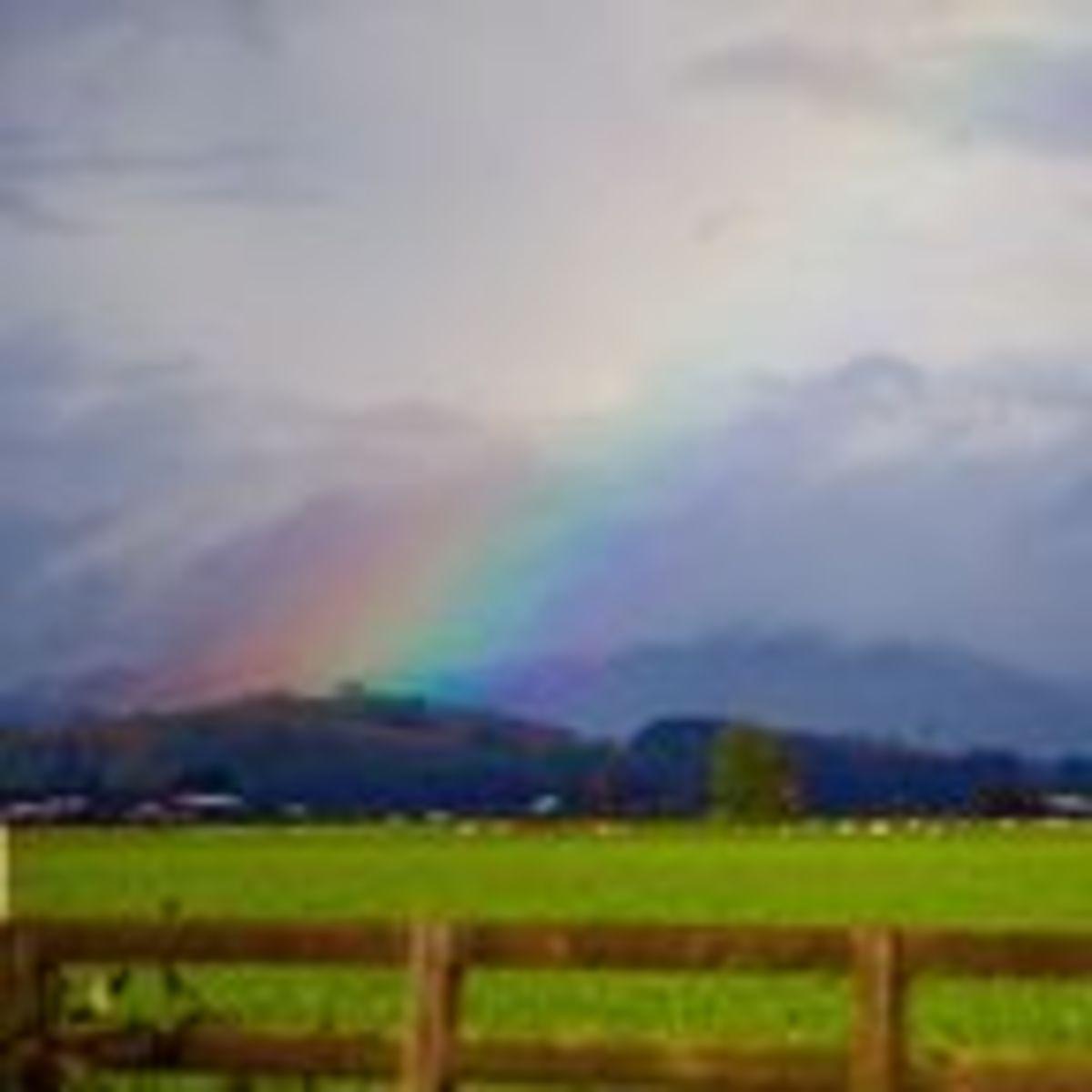 Is The Grass Greener On The Other Side Psychology Today