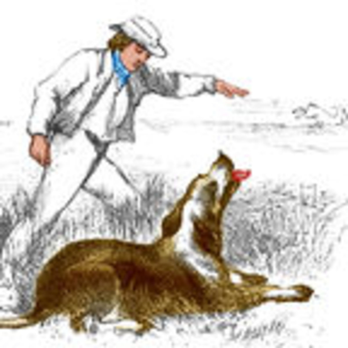 Do Dogs Respond More Accurately To Words Or Gestures