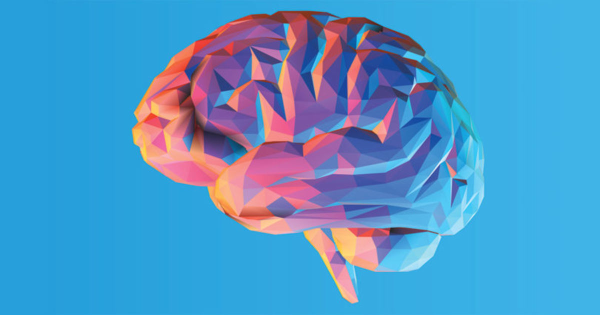 The human brain in various colors