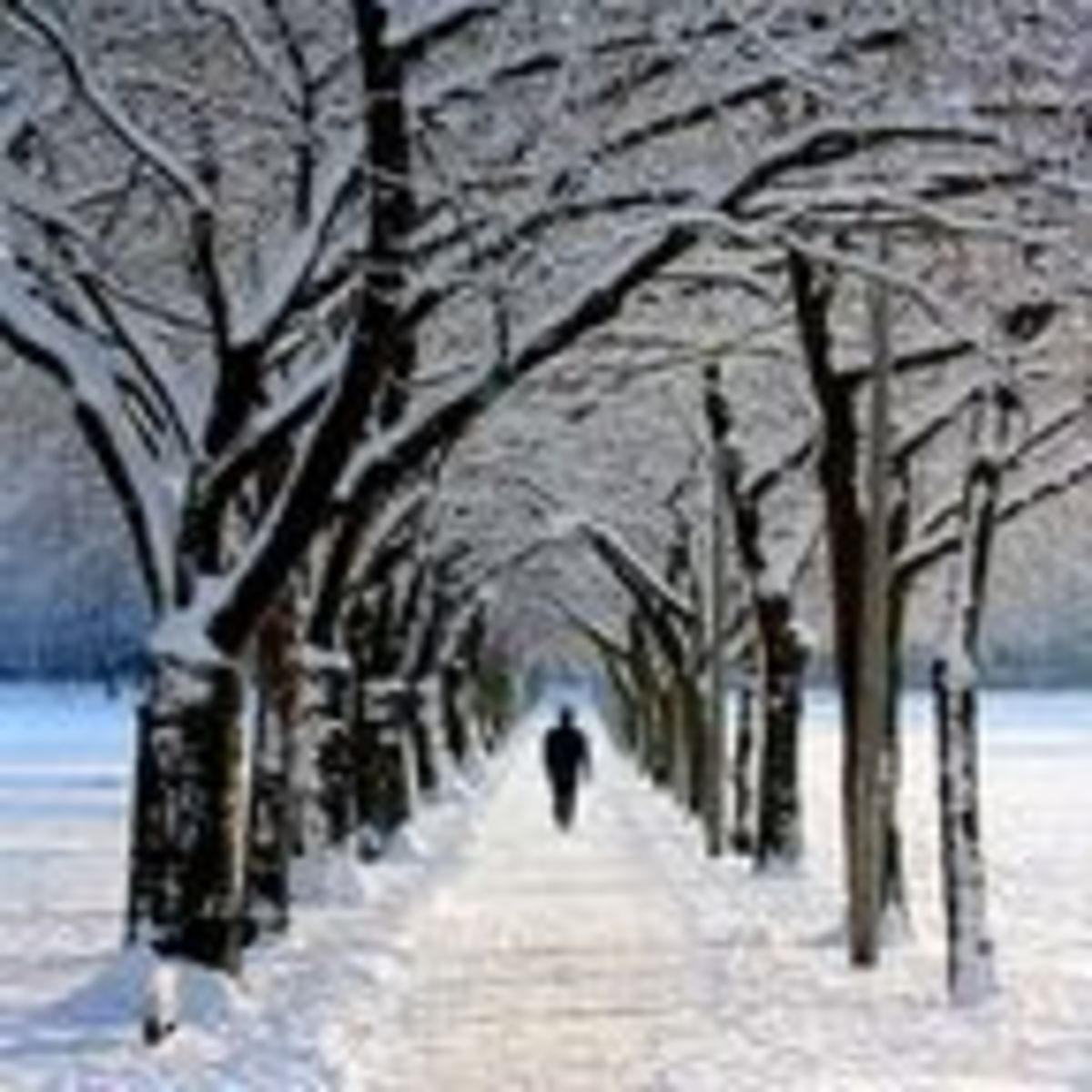 A Mind of Winter | Psychology Today Canada
