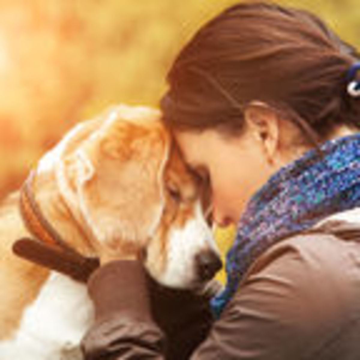 my dog died and my other dog is depressed