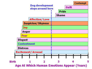 how do dogs sense emotions