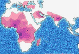 Wikimedia Commons Public Domain