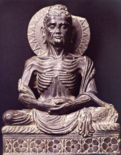 Public Domain Public Domain