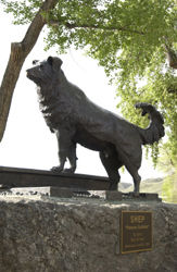 Creative Commons License CC0 Creative Commons License CC0