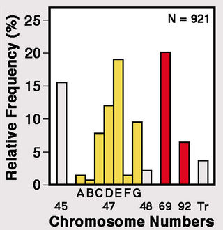 Adapted from a figure in Boué et al. (1975)