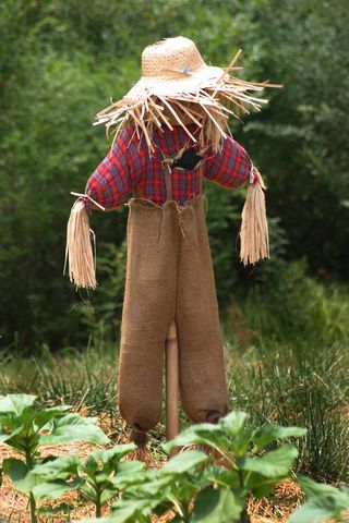  Scarecrow) via Wikimedia Commons