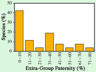 Figure adapted from Isvaran & Clutton-Brock (2007). Figure adapted from Isvaran & Clutton-Brock (2007).