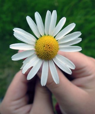 pixabay pixabay