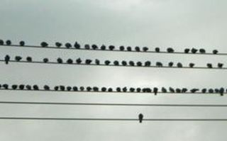 'Social exclusion' by Scott Merrick / CC by 2.0 'Social exclusion' by Scott Merrick / CC by 2.0