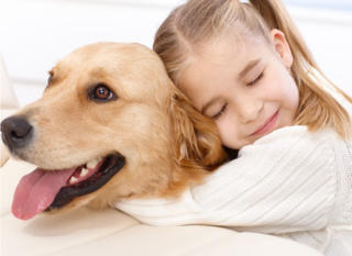 How Important Is the Animal in Animal-Assisted Therapy? | Psychology Today