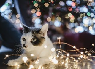 Jasmin Shuler/Unsplash Jasmin Shuler/Unsplash