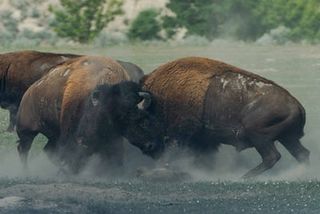 Richard Lee/Unsplash Richard Lee/Unsplash