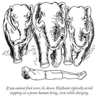 Chronicle Books/Publicity Release Chronicle Books/Publicity Release