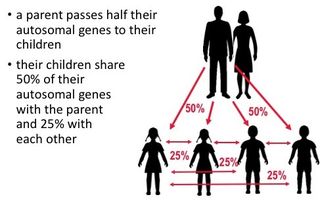 monogamy badcock genetic case source