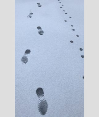 J. Krueger J. Krueger