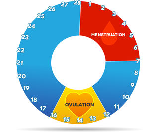 Birth Control Pills Affect Women's Taste in Men