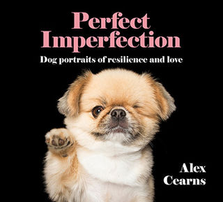 Alex Cearns Alex Cearns