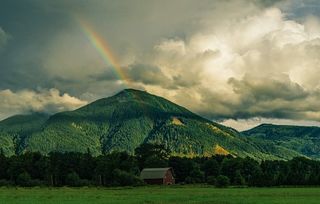 Patrick Fore/Unsplash Patrick Fore/Unsplash