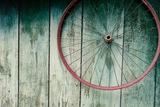 Nina Lishchuk_Shutterstock Nina Lishchuk_Shutterstock