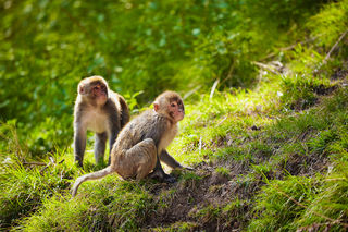 f9photos/iStock f9photos/iStock