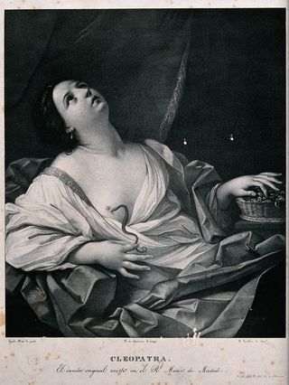 Lithograph by J. Madrazo y Agudo after a painting by Guido Reni. Wellcome Images