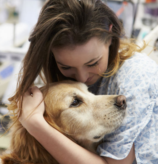 Do Therapy Dogs Belong In Hospital Emergency Rooms