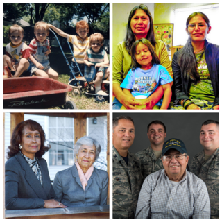  (clockwise from top left) Pam Simon, Pixabay; Hank Miller, Wikimedia; De-Juan Haley, U.S. Air National Guard; Bill Branson, National Cancer Institute