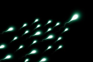 Sperium-2505952_1920 (sperm) Pixabay Geralt