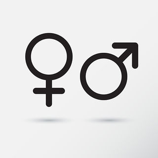 galastudio/Shutterstock galastudio/Shutterstock