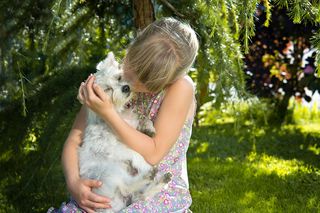 Image by Pezibear from Pixabay Image by Pezibear from Pixabay