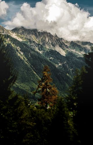 Jack Ward on Unsplash