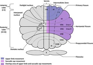  Wikimedia Commons/Creative Commons