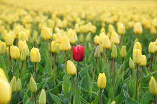 Rupert Britton/Unsplash Rupert Britton/Unsplash