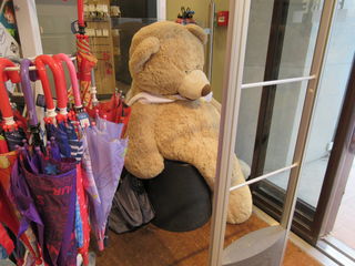 teddy bears for guys