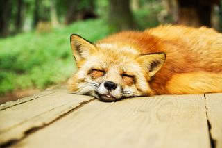 Source: Shingo No/Pixabay Source: Shingo No/Pixabay