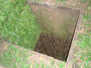 flickr flickr